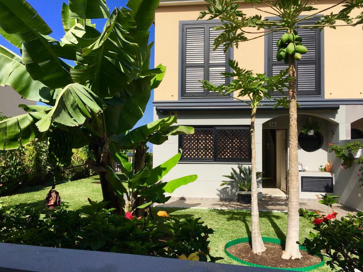 La Quinta Garden Villa Santa Úrsula Kültér fotó