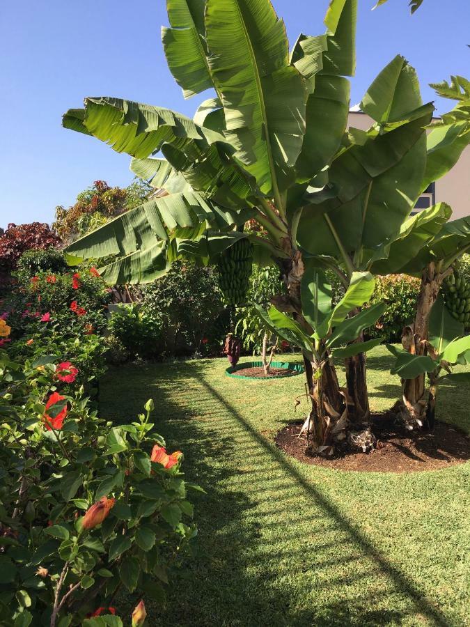 La Quinta Garden Villa Santa Úrsula Kültér fotó